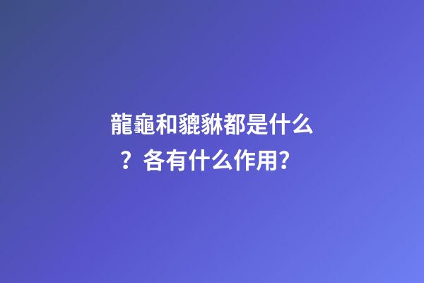 龍龜和貔貅都是什么？各有什么作用？